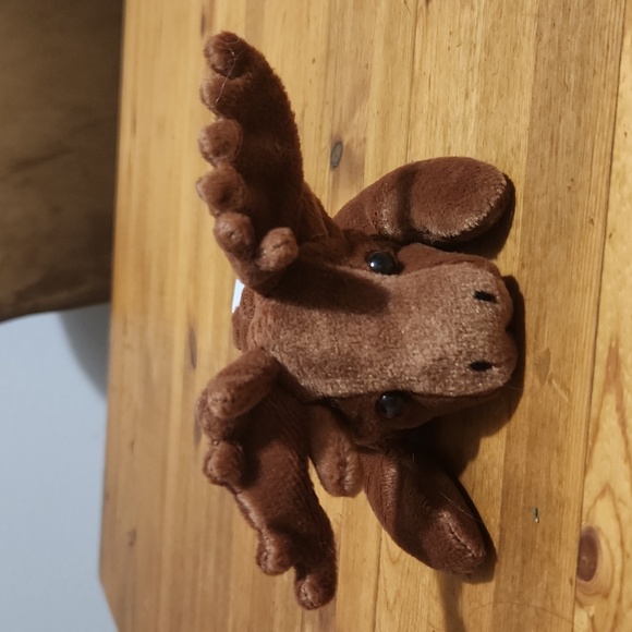 Moose 🫎 9" Beanbag Soft and Plush by Artic Circle Like New! - Picture 1 of 3